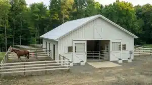 48x36 steel horse barn kit in Guelph Ontario with a horse in the paddock